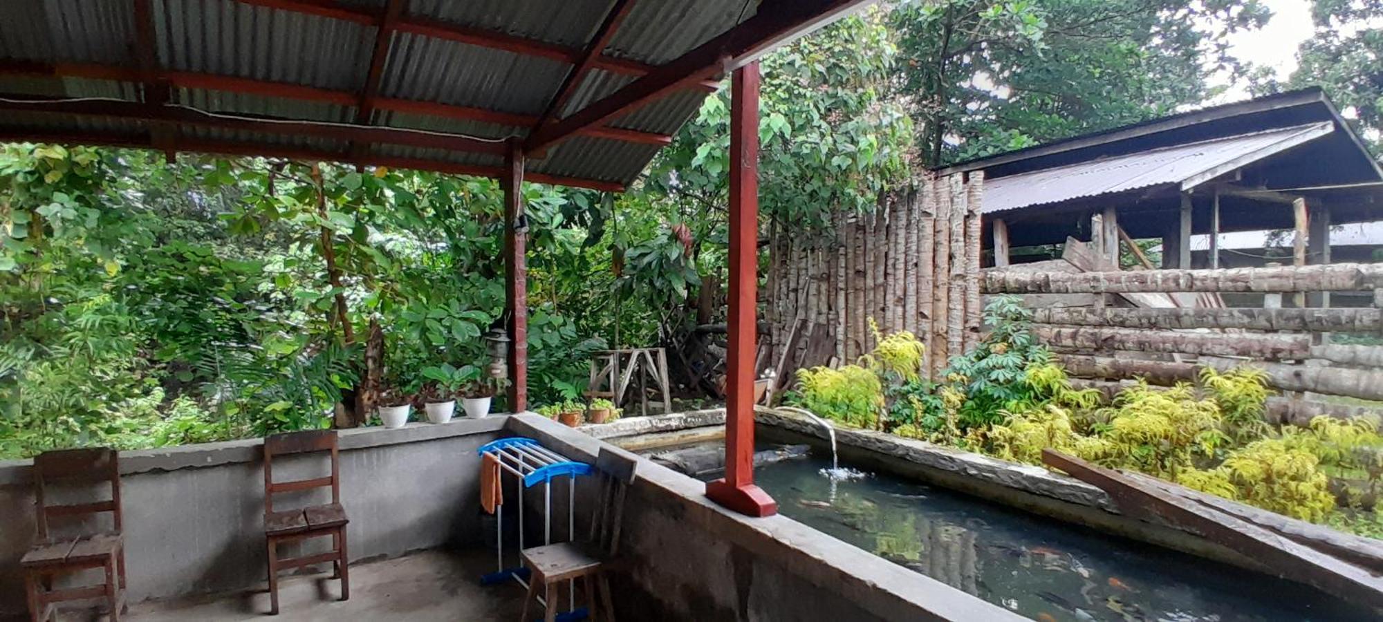 Renny'S Tangkoko Safety Stop Bitung Exterior foto